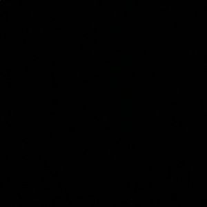 Meet your Posher, Johnny